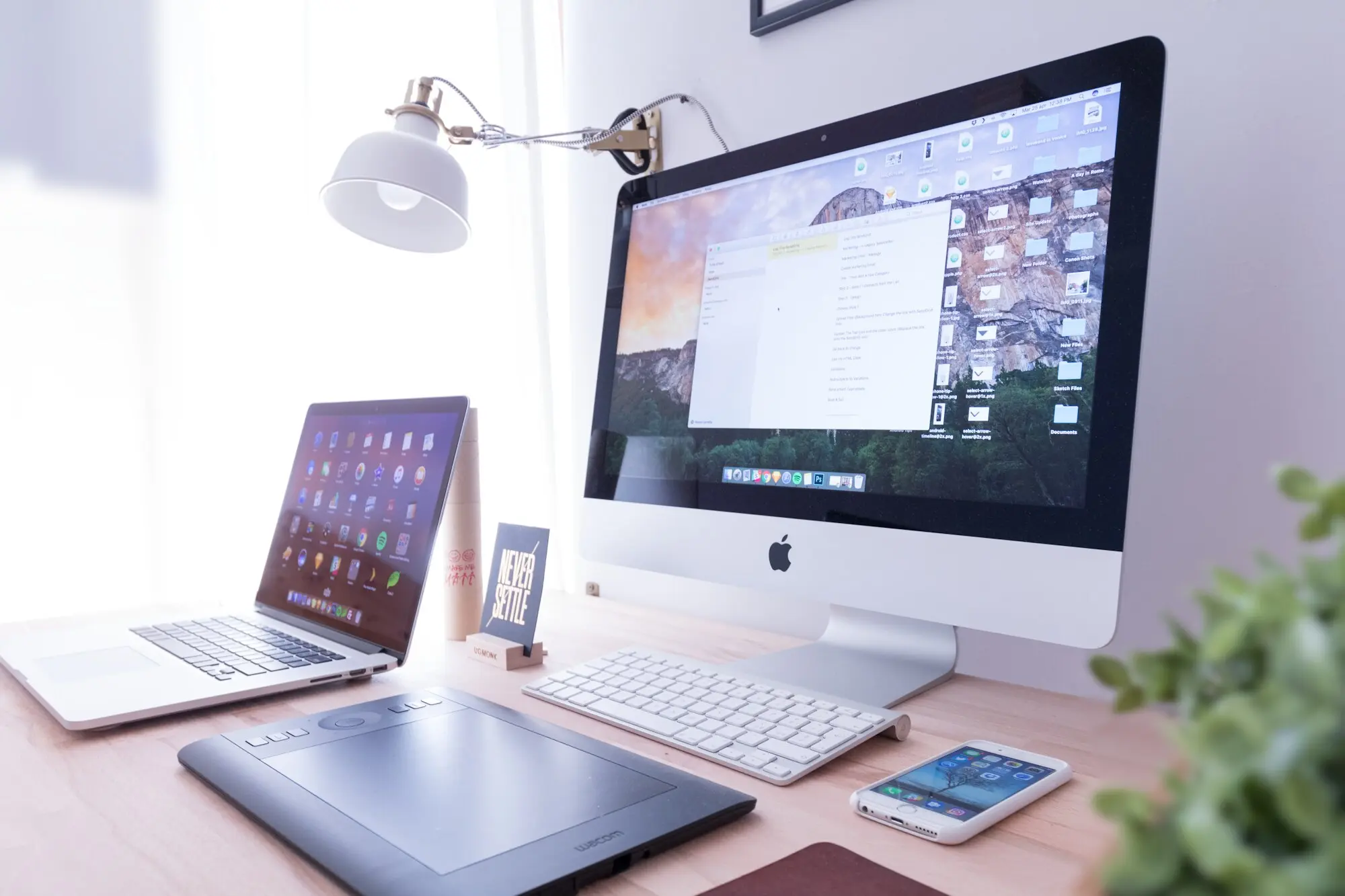 API Development & Integration